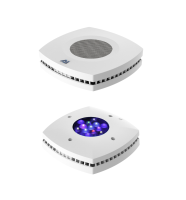 Ai hotsell prime dropcam